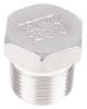 Product image for S/steel plug,3/8in BSPT M