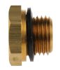 Product image for Brass threaded blanking plug,G1/4