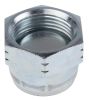 Product image for 3/4in BSPP ZnPt steel blanking cap