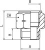 Product image for ADAT.F-NPTF/M-BSP 1/8-1/8 NIC. 1/8-1/8