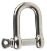 Product image for S/STEEL D SHACKLE WITH SCREW PIN,16MM