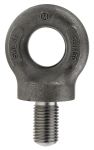 Product image for Eyebolt for lifting application,M30