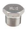 Product image for S/steel plug,1/2in BSPT M