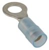 Product image for Blue M5 insul ring terminal,1-2.6sq.mm