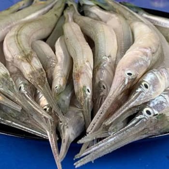Kaikka Fish (কৈক্কা মাছ)