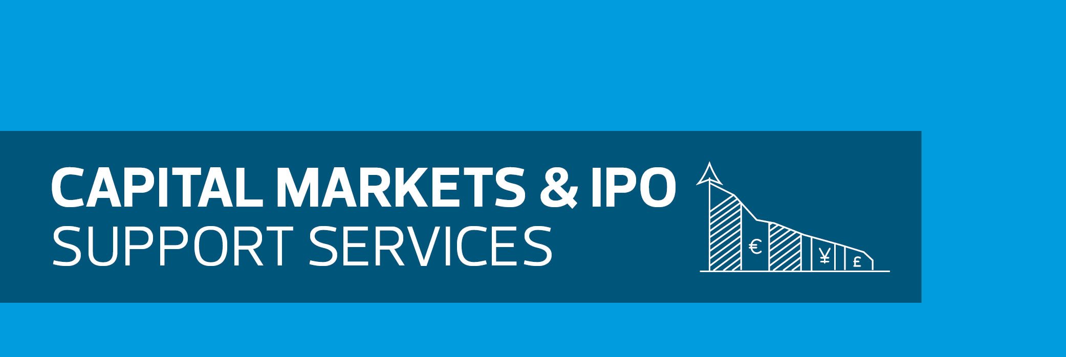 Capital Markets and IPO support services