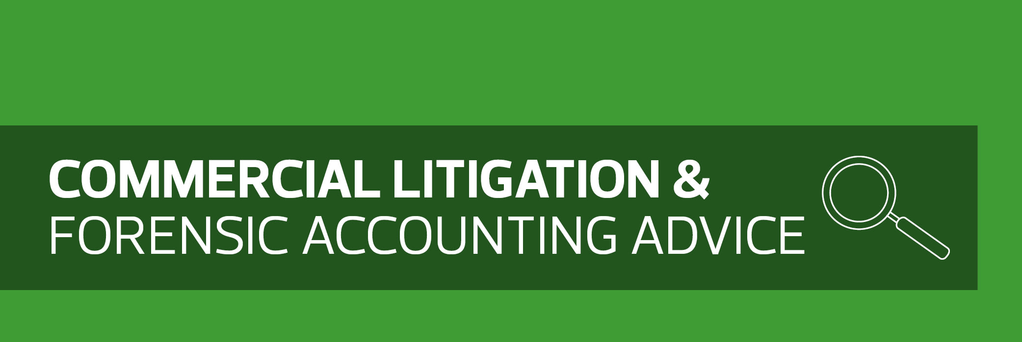 Commercial litigation & forensic accounting advice