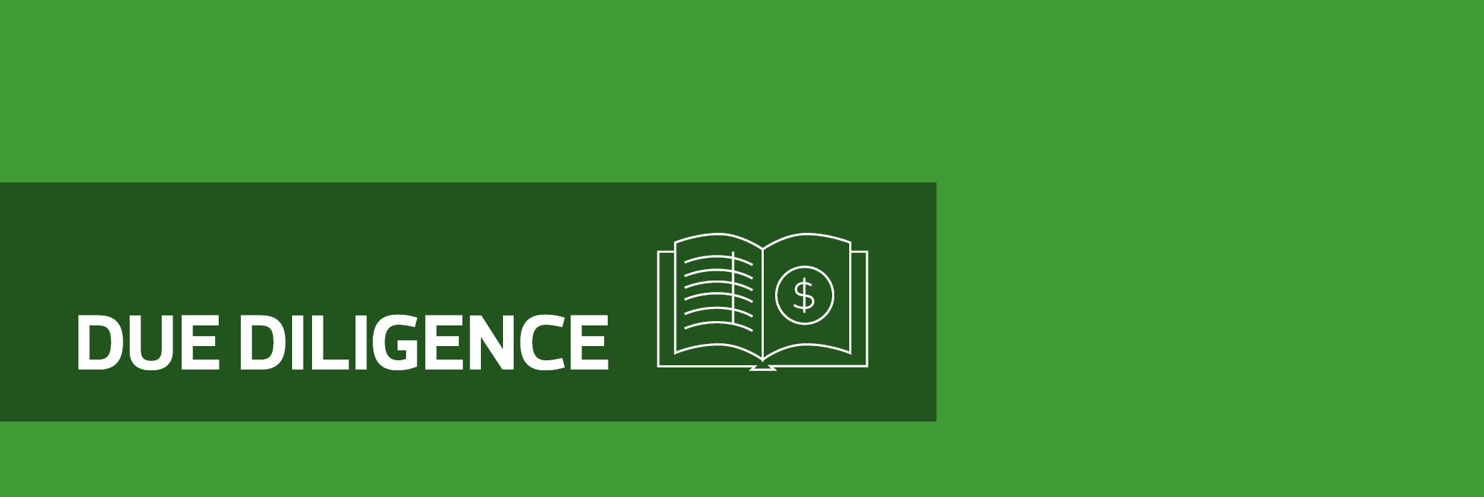 Due Diligence