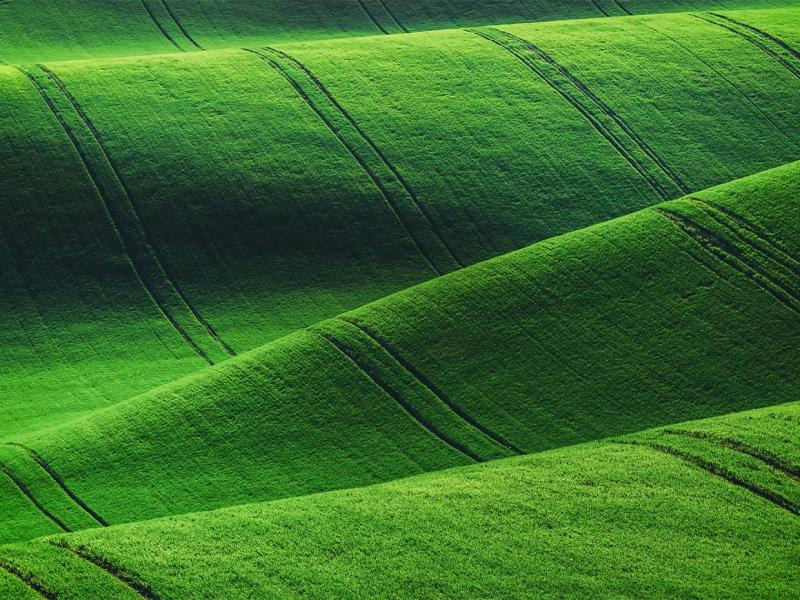 ESG en Argentina: por qué todavía no está en agenda