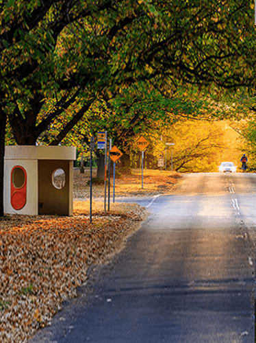 Bus stop in canberra during autumn