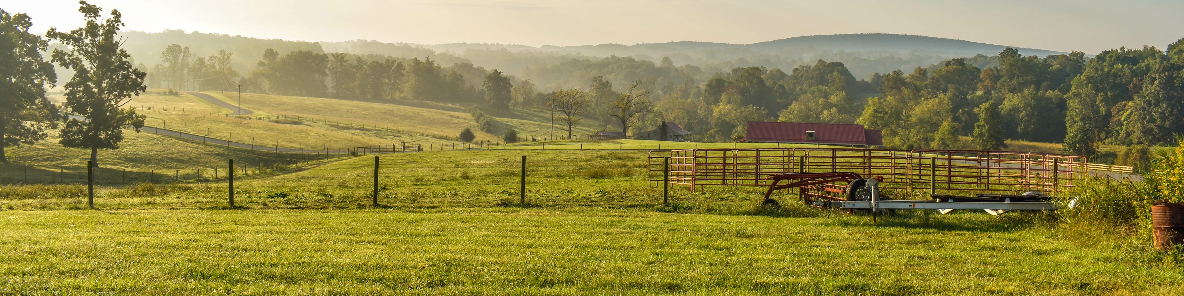 Discover how the Personal Property Securities Register (PPSR) can protect your agribusiness assets. Learn about registering and searching on the PPSR for farm equipment, livestock, crops, and more with RSM’s expert guidance.