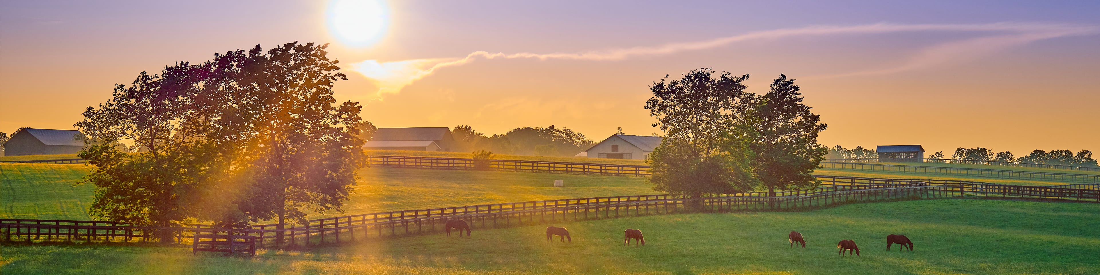 Cashflow Discipline: The Key to Thriving in Changing Agricultural Landscapes