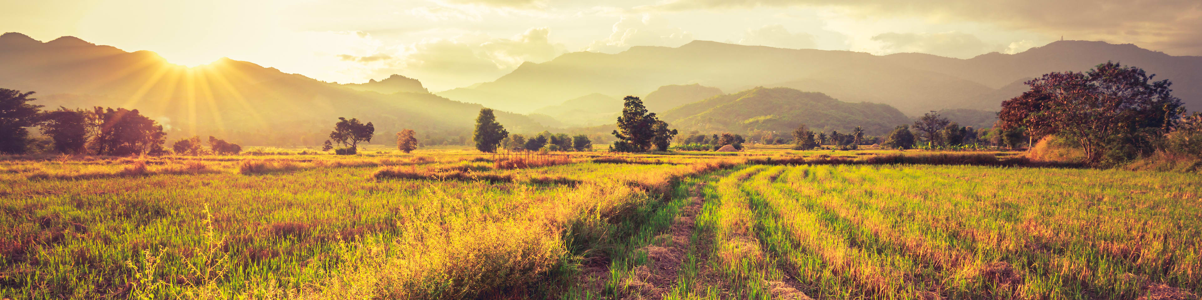 Agriculture & Adaptation: The climate challenge for us all