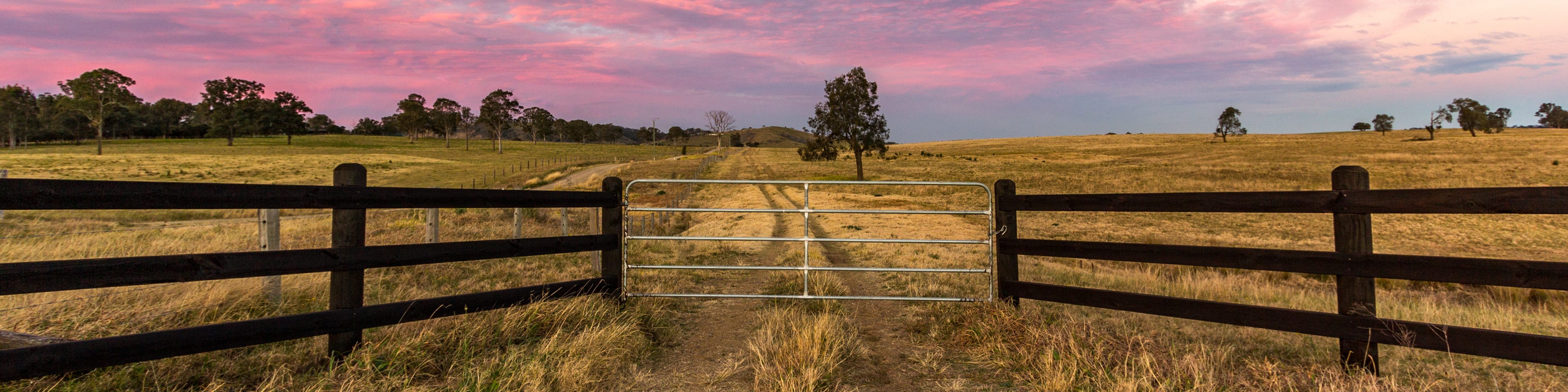 Weathering Inflation: Proven Strategies for Australian Agribusiness Success