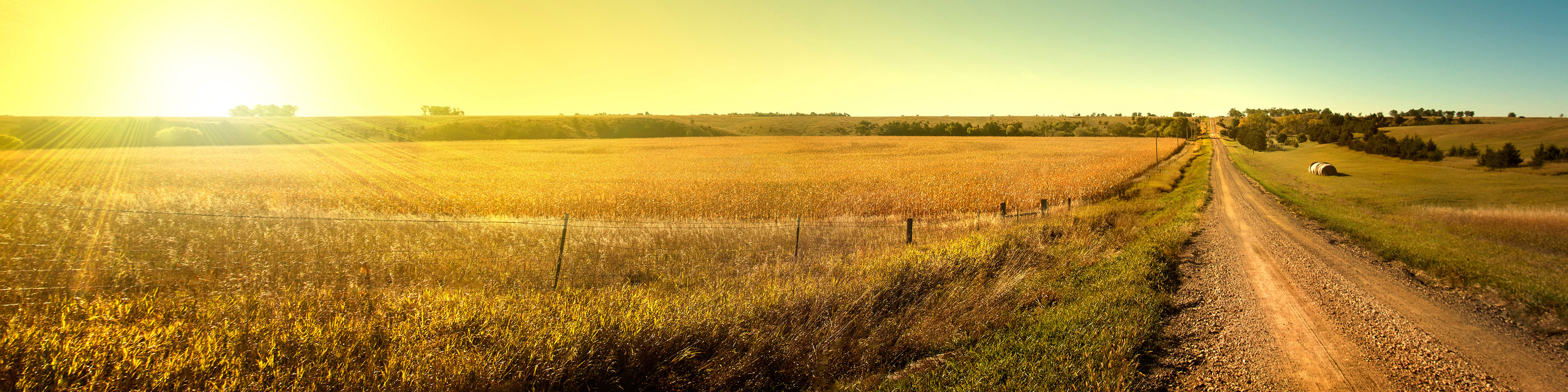 Farm Cashflow Challenges Amid Rising Inflation and Tax Burdens