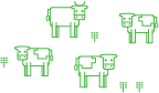 Farm succession can take on a different meaning for different people and managing expectations around succession is often tricky.