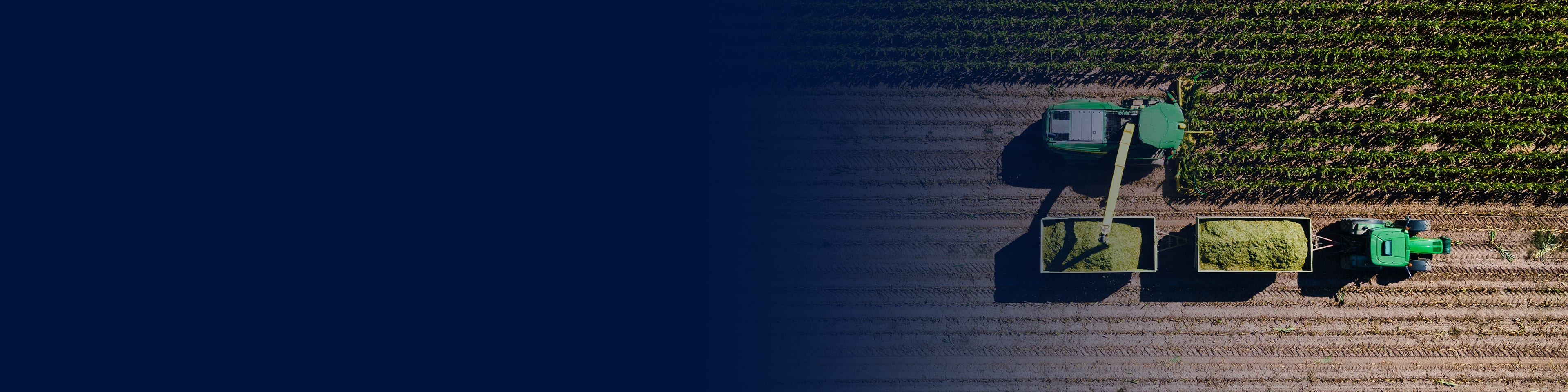 Automation in Agribusiness