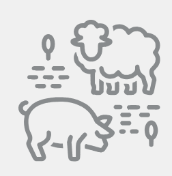 Agribusiness