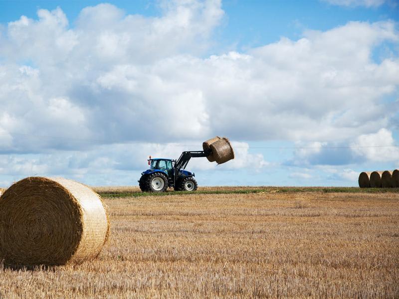 Administrators begin to finalise appointment after creditors accept DOCA | Pastoralists and Graziers Association Western Australia
