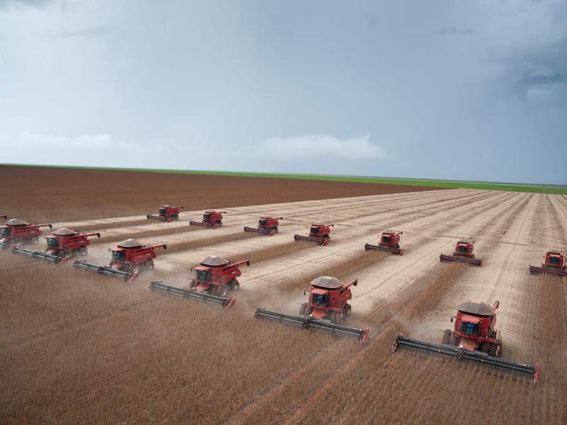 Carbon Farming Case Study | RSM & Clarke Family Partnership