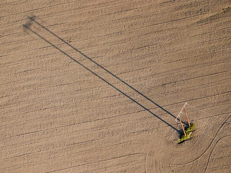 Removing financial stumps from your farm business