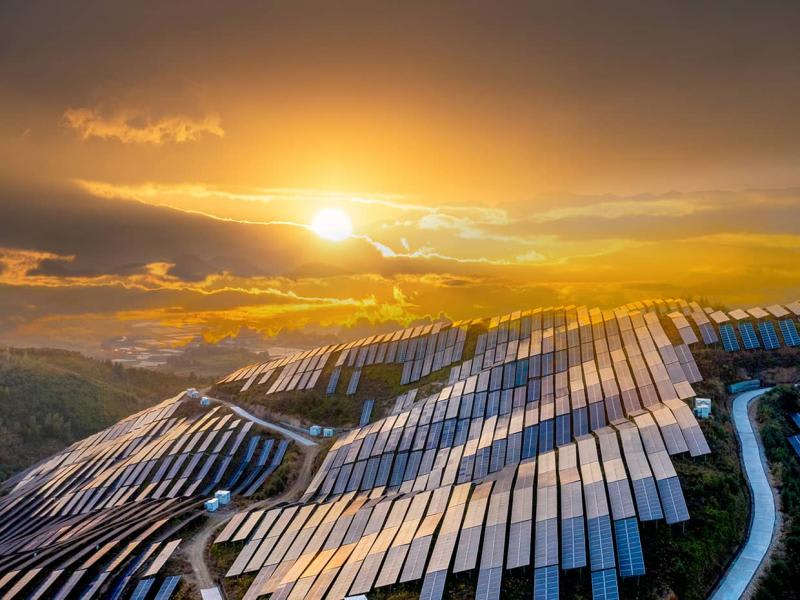 Sustainability Report  2024