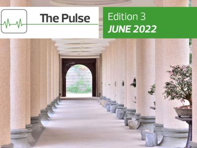 The Pulse | Edition 3