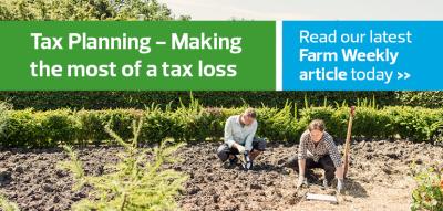 Tax planning - making the most of a tax loss