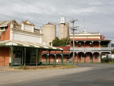 Victorian government business survival and adaptation package