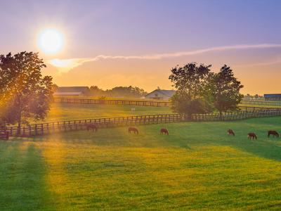 Cashflow Discipline: The Key to Thriving in Changing Agricultural Landscapes