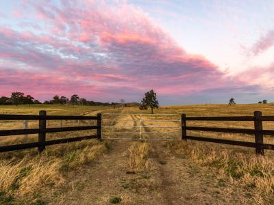 Explore effective strategies to help Australian agribusinesses thrive amidst inflation. Learn from Ross Paterson, National Leader of Agribusiness at RSM, on how to build resilience against economic pressures.