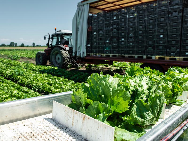 Automation in Agriculture | Part 3: Using the R&D tax incentive