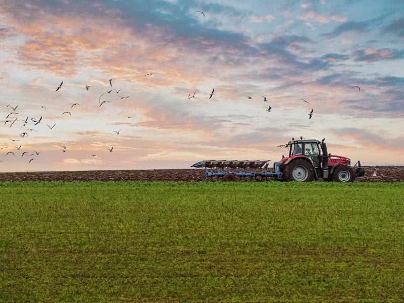 From automated dairies to drone fleets and data-driven crop management, automation is transforming how Australian agribusiness operates. 
