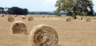 Top tips on building off-farm assets