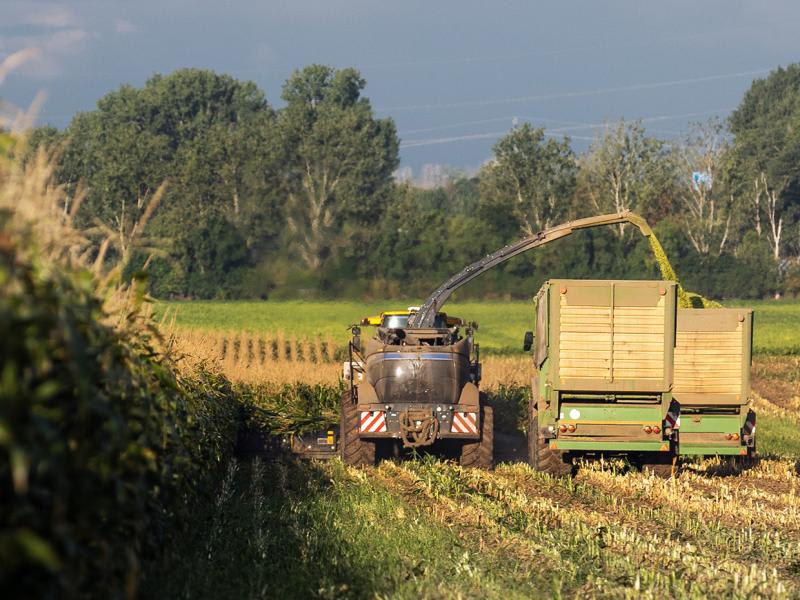 Capital gains tax reform for primary producers and agribusiness  