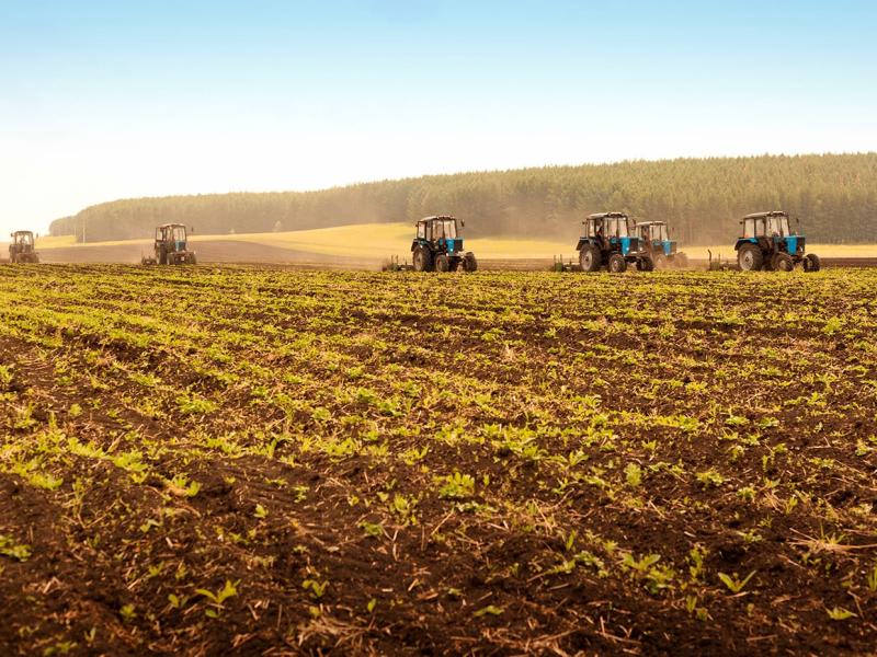 Low carbon liquid fuels – A decarbonisation opportunity for Australian agriculture