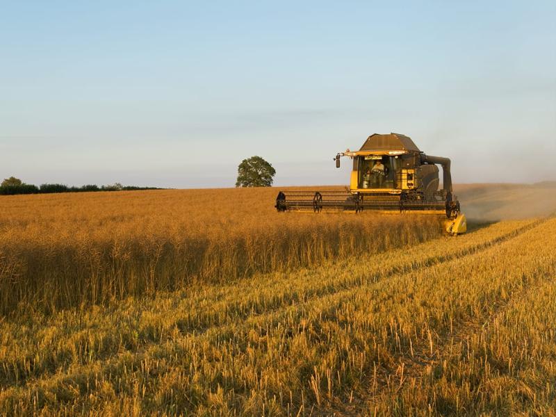 Low carbon liquid fuels – A decarbonisation opportunity for Australian agriculture