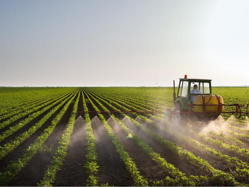 Transforming family farms into agribusiness enterprises