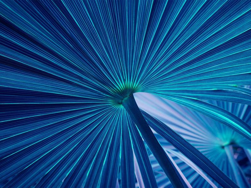 RDTI: Deadline to claim overseas R&D activities fast approaching 