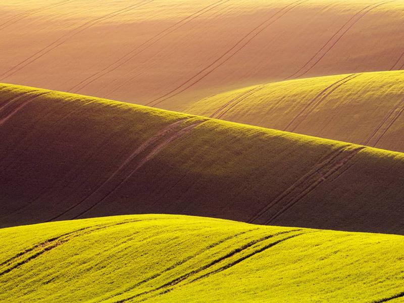 Thriving through uncertainty: Managing risk in agriculture