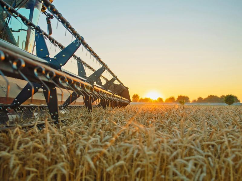 Future Drought Fund Drought Resilience Innovation Challenges Pilot Program