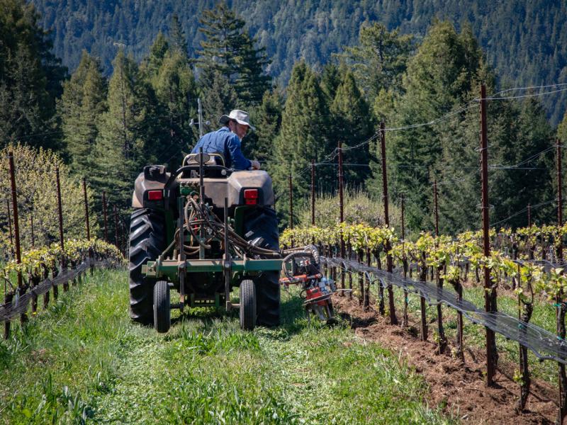 How elections from the ATO may provide relief to your agribusiness