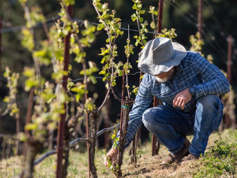 Reviewing your farm debt strategy and capital structure