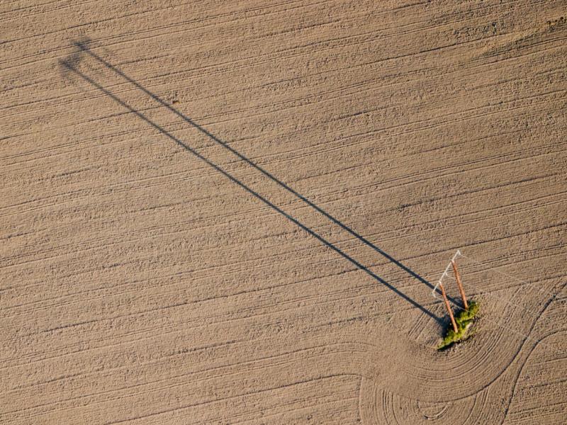 How company structures are beneficial to farming businesses