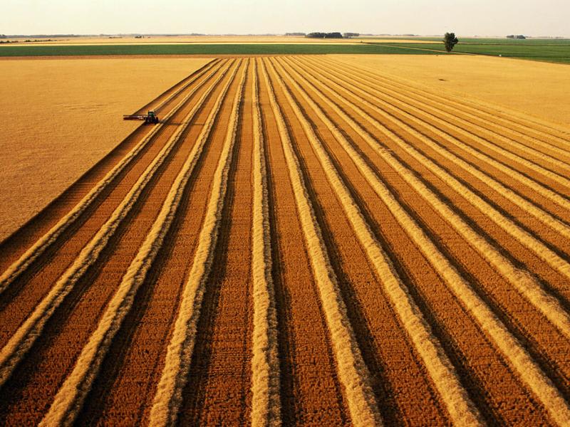 A scenic view of agricultural fields under a clear sky, showcasing the beauty and productivity of rural landscapes.