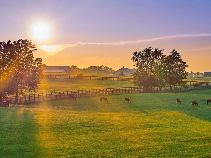 Thumbnail-Agri-AdobeStock_270874621