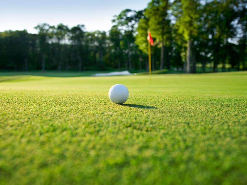 Sydney Annual Golf Day | Event