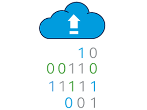 Data Management