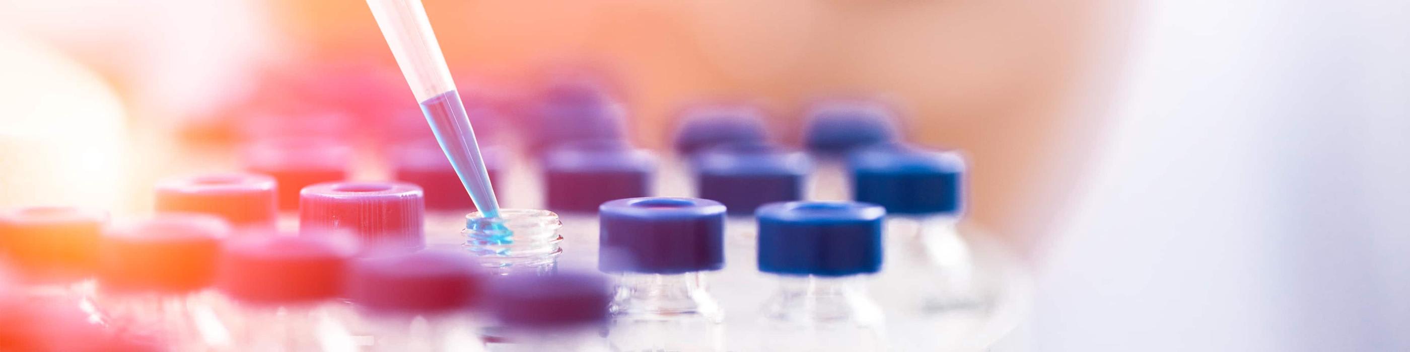 Healthy futures in regional Western Australia