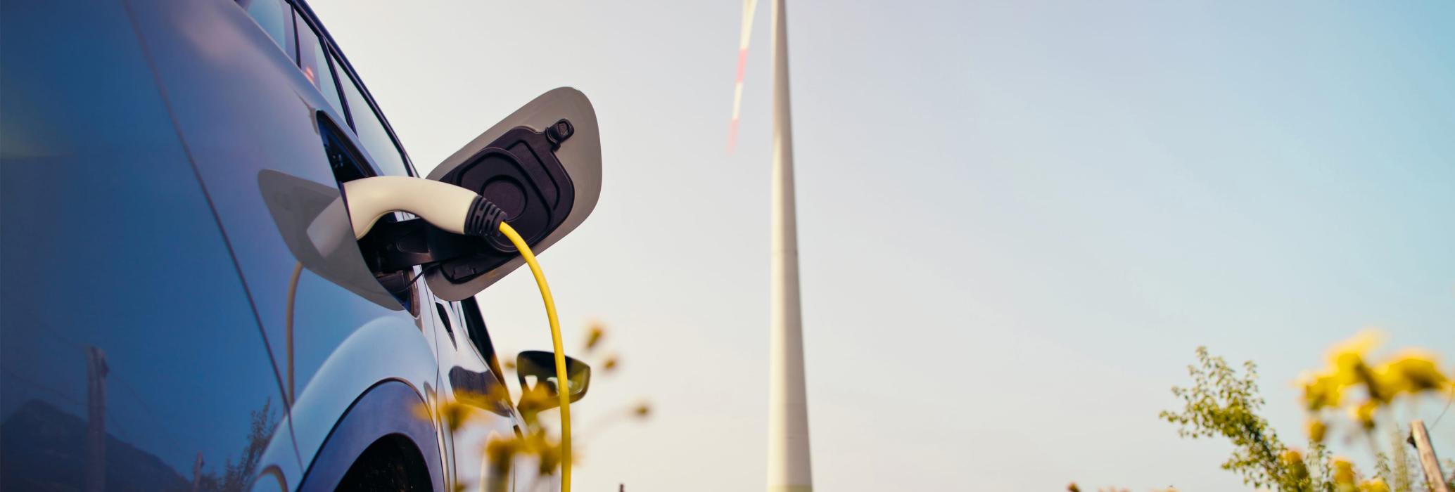 ESG Insights